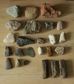 Aquariumstenen, Dieren en Toebehoren, Vissen | Aquaria en Toebehoren, Ophalen of Verzenden, Gebruikt, Plant(en), Steen of Hout