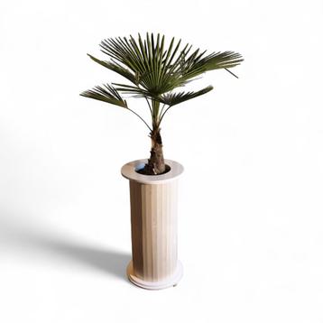 Design pedestal hoog | Planten standaard h108cm d45cm beschikbaar voor biedingen