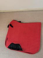 ‼️Papaya dekje te koop lemieux, Dieren en Toebehoren, Ophalen of Verzenden