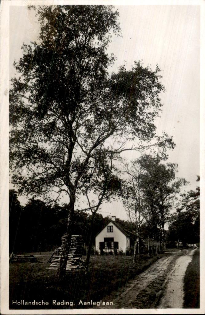 Hollandsche Rading - Aanleglaan Foto(kaart), Verzamelen, Ansichtkaarten | Nederland, Ongelopen, Utrecht, 1940 tot 1960, Ophalen of Verzenden