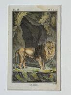 S U P e R - 1770 Leeuw - le lion Antieke Plaat 250 jaar Oud!, Ophalen of Verzenden