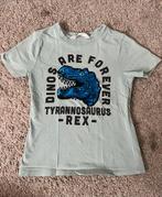 T-shirt dino maat 110/116, H&M, Ophalen of Verzenden, Zo goed als nieuw, Shirt of Longsleeve