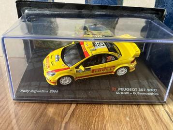 49985: Peugeot 307 WRC - Galli/Bernacchini - Argentina 2006 beschikbaar voor biedingen