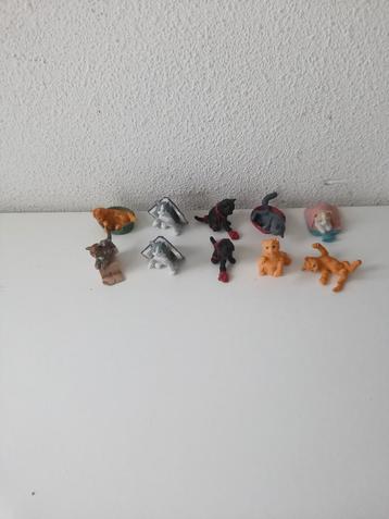 Kitty in My pocket  beschikbaar voor biedingen