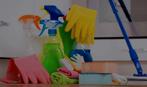 Schoonmaak, Overige vormen