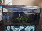 Aquarium 100L met algeneters, Dieren en Toebehoren, Vissen | Aquaria en Toebehoren, Ophalen, Gebruikt