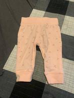 Roze broekje van de Zeeman. Maat 50, Kinderen en Baby's, Babykleding | Maat 50, Zeeman, Broekje, Meisje, Ophalen of Verzenden