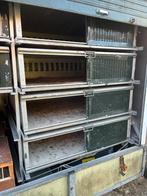 Duiven manden, Dieren en Toebehoren, Vogels | Duiven, Postduif