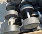 2 x 38 kg pu Urethane dumbells dumbell seg gewichten, Dumbbell, Technogym, Pu urethane, Ophalen of Verzenden