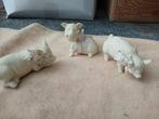 3 Varkensbeeldjes met Bloemdecoratie, Ophalen