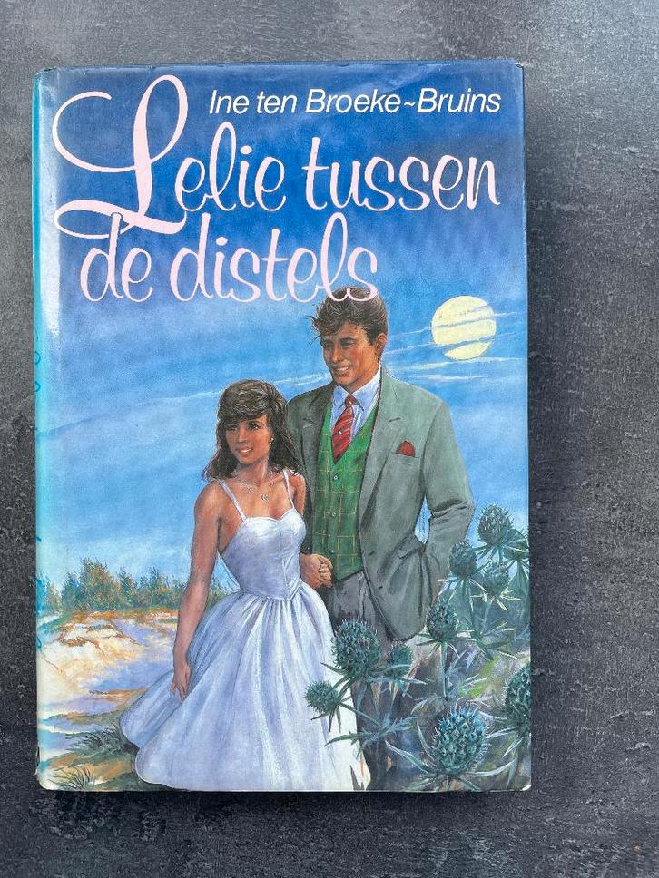 Lelie tussen de distels van Ine ten Broeke-Bruins, Boeken, Romans, Gelezen, Ophalen