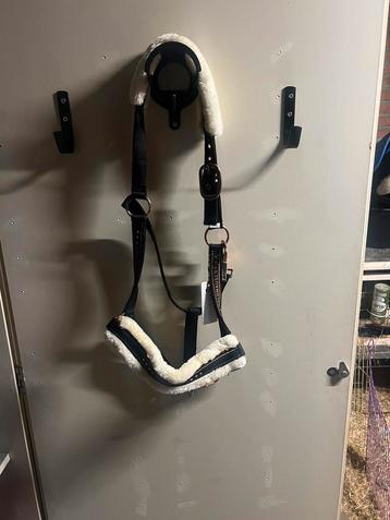 Halster full beschikbaar voor biedingen