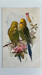 2 papegaaien op tak. Bloemen. 1936.gesigneerd, Ophalen of Verzenden, 1920 tot 1940