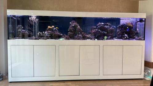 Zoutwater oceaan aquarium, Dieren en Toebehoren, Vissen | Aquaria en Toebehoren, Zo goed als nieuw, Gevuld zeewateraquarium, Ophalen