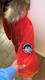 Rode Superdry Jas - Maat 42, Kleding | Dames, Ophalen of Verzenden, Zo goed als nieuw, Maat 42/44 (L), Rood