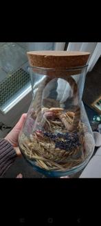 Mooie terrarium met droogbloemen zie omschrijving, Ophalen, Zo goed als nieuw
