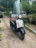 Leuke agm retro scooter, Gebruikt, Minder dan 100 cm, 25 tot 50 cm, 50 tot 100 cm
