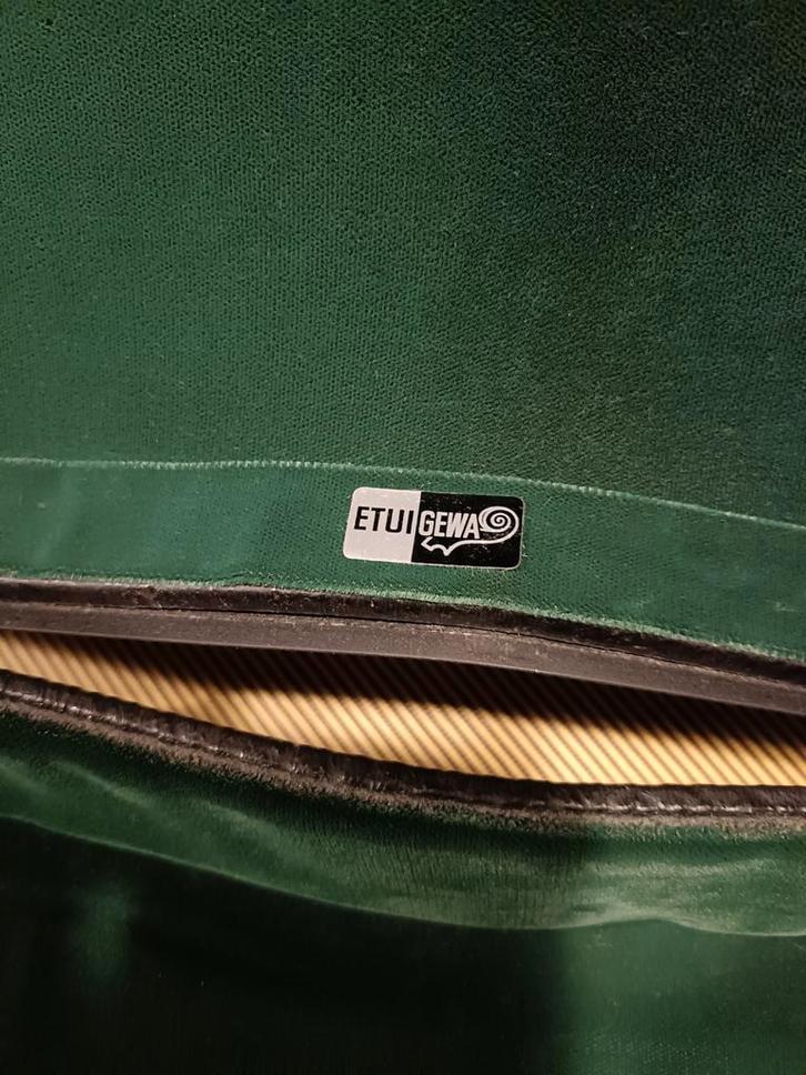 Gewa Vioolkist, Muziek en Instrumenten, Behuizingen en Koffers, Zo goed als nieuw, Viool of Altviool, Flightcase, Ophalen of Verzenden