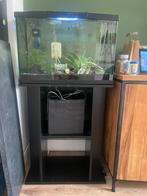 Aquarium met vissen, Ophalen, Gebruikt, Gevuld zoetwateraquarium