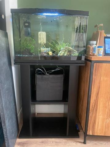 Aquarium met vissen beschikbaar voor biedingen