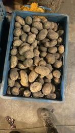 Friet aardappel te koop, Zakelijke goederen, Ophalen of Verzenden
