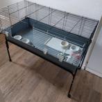Caviakooi met standaard op wielen + toebehoren, Dieren en Toebehoren, Ophalen, Gebruikt, Kooi, Cavia