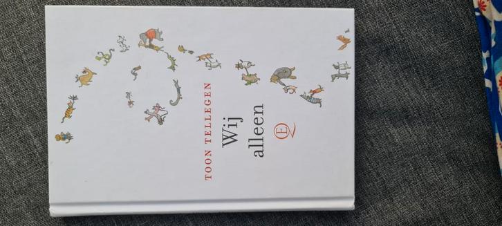 Toon Tellegen - Wij alleen Boek, Boeken, Literatuur, Zo goed als nieuw, Nederland, Ophalen of Verzenden