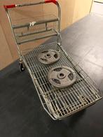 Fitness Gewichten Gietijzer 15kg 50mm, Ophalen, Zo goed als nieuw, Benen, Halterschijven