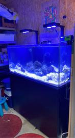 Red Sea Reefer 350 G2 + Deluxe Systeem, incl 3x kessil LED, Ophalen, Gebruikt, Leeg aquarium