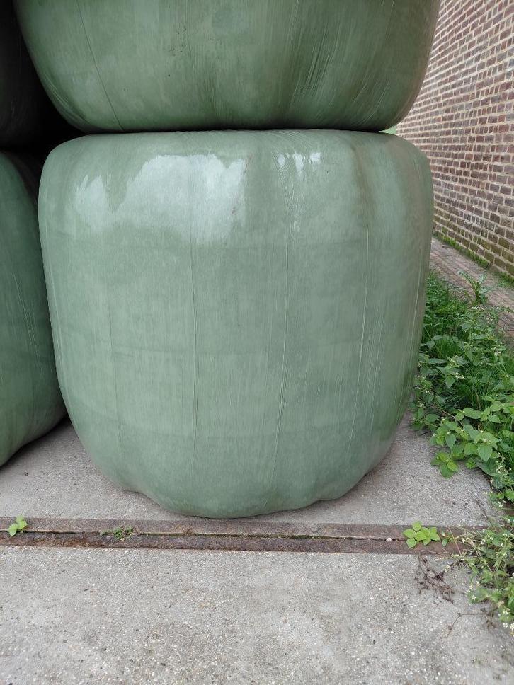 Hooi Midi balen voordroog biologisch gras/kruiden., Dieren en Toebehoren, Dierenvoeding, Vee, Ophalen