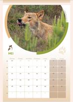 Kalender "Bram de Wolf", Ophalen of Verzenden, Maandkalender, Nieuw