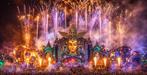 4x Tomorrowland W2 Glorious Sunday Pass, Drie personen of meer