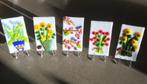 Glasschilderijtje glasfusing klaproos bloem boeket vogel, Ophalen of Verzenden, Nieuw