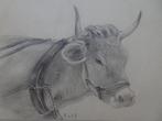potloodtekening koe met tuig klaar om te ploegen natuur EvdE, Antiek en Kunst, Verzenden