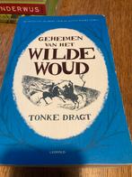 Tonke Dragt - Geheimen van het Wilde Woud, Ophalen of Verzenden, Zo goed als nieuw, Tonke Dragt