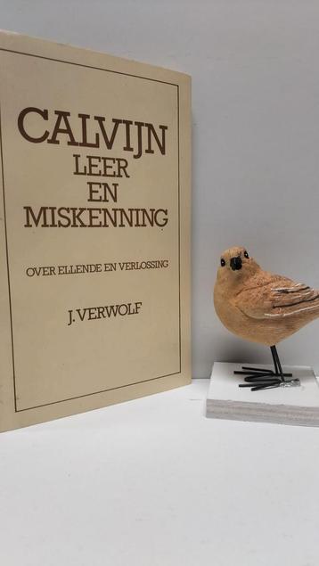 Verwolf, J.; Calvijn leer en miskenning beschikbaar voor biedingen