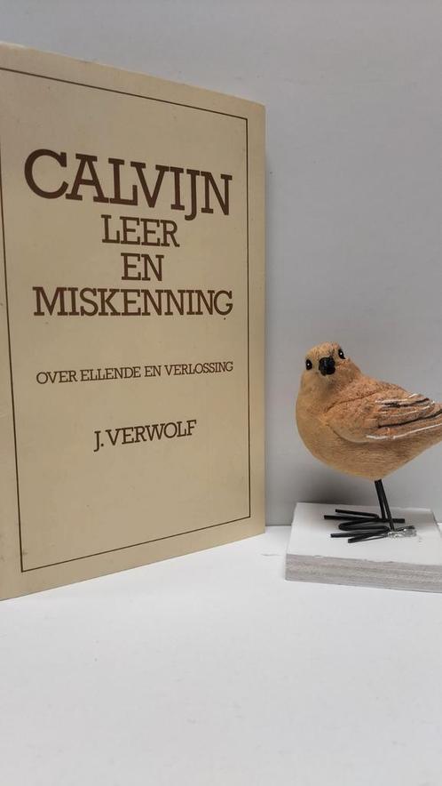 Verwolf, J.; Calvijn leer en miskenning, Boeken, Godsdienst en Theologie, Gelezen, Christendom | Protestants, Ophalen of Verzenden