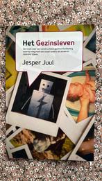 Jesper Juul - Het gezinsleven, Boeken, Zwangerschap en Opvoeding, Ophalen of Verzenden, Zo goed als nieuw, Jesper Juul
