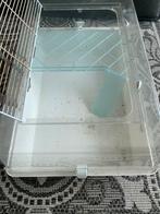 Hamsterkooi met veel accesoires, Kooi, Gebruikt, Minder dan 75 cm, Hamster