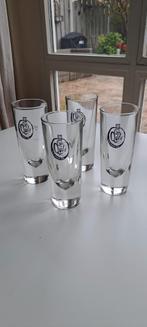 Taquile Shot Glazen - Set van 4, Ophalen of Verzenden, Zo goed als nieuw, Borrel- of Shotglas