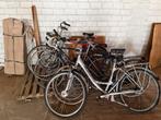 Diverse fietsen - Batavus, Gazelle, etc., Versnellingen, Ophalen, Overige merken, 53 tot 56 cm