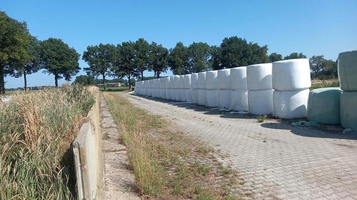 Ronde hooibalen 1e snede, Dieren en Toebehoren, Dierenvoeding, Vee, Ophalen