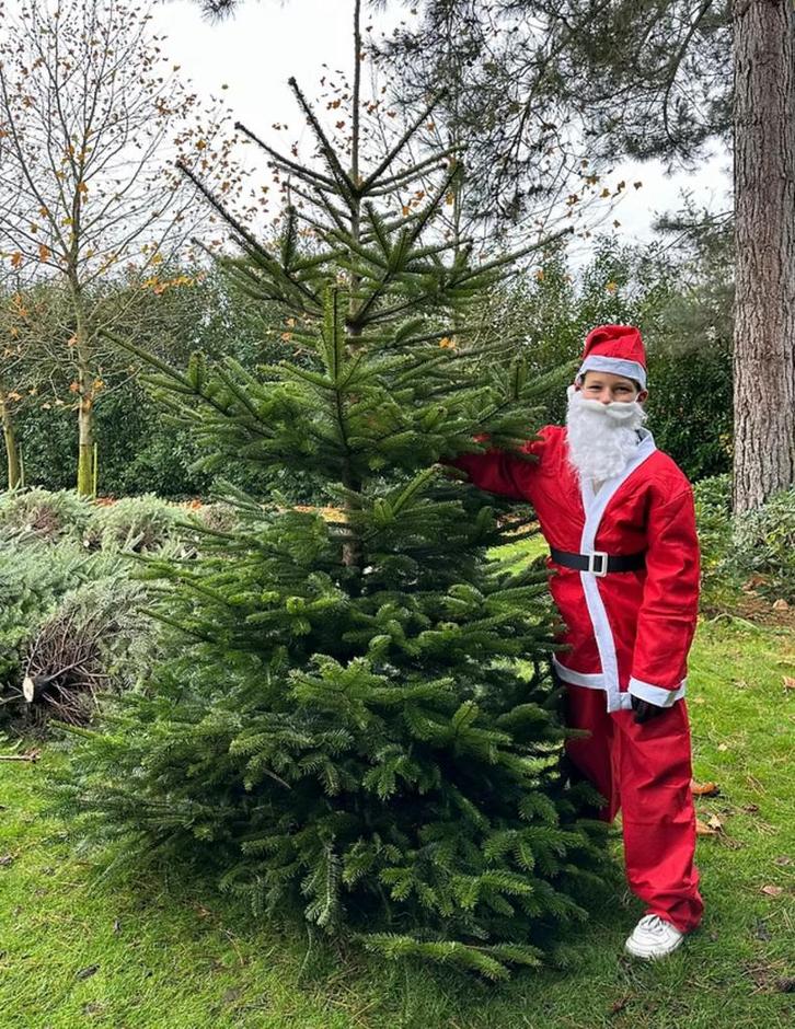 50 prachtige Nordmann kerstbomen in Valkenswaard, Diversen, Kerst, Nieuw, Ophalen of Verzenden