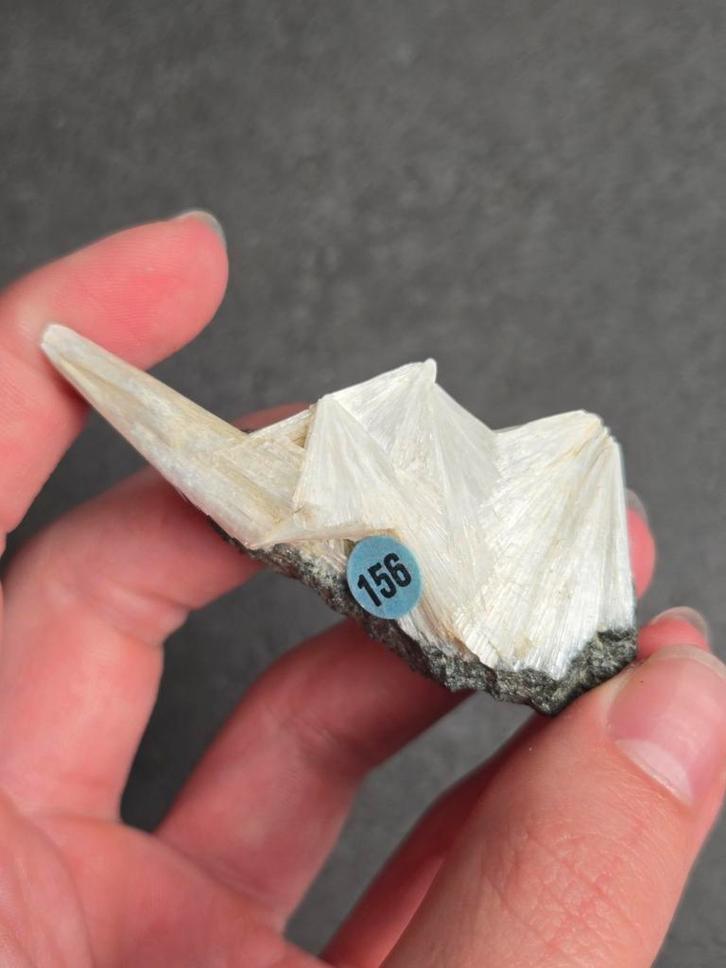 Pectoliet uit Sauerland, Duitsland, Verzamelen, Mineralen en Fossielen, Ophalen of Verzenden