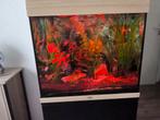 Juwel lido 120 aquarium met heel veel extra's., Dieren en Toebehoren, Vissen | Aquaria en Toebehoren, Ophalen, Zo goed als nieuw