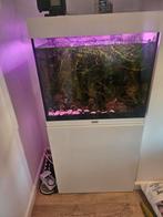 Juwel aquarium met vissen en toe behoren., Dieren en Toebehoren, Vissen | Aquaria en Toebehoren, Ophalen, Gebruikt, Gevuld zoetwateraquarium
