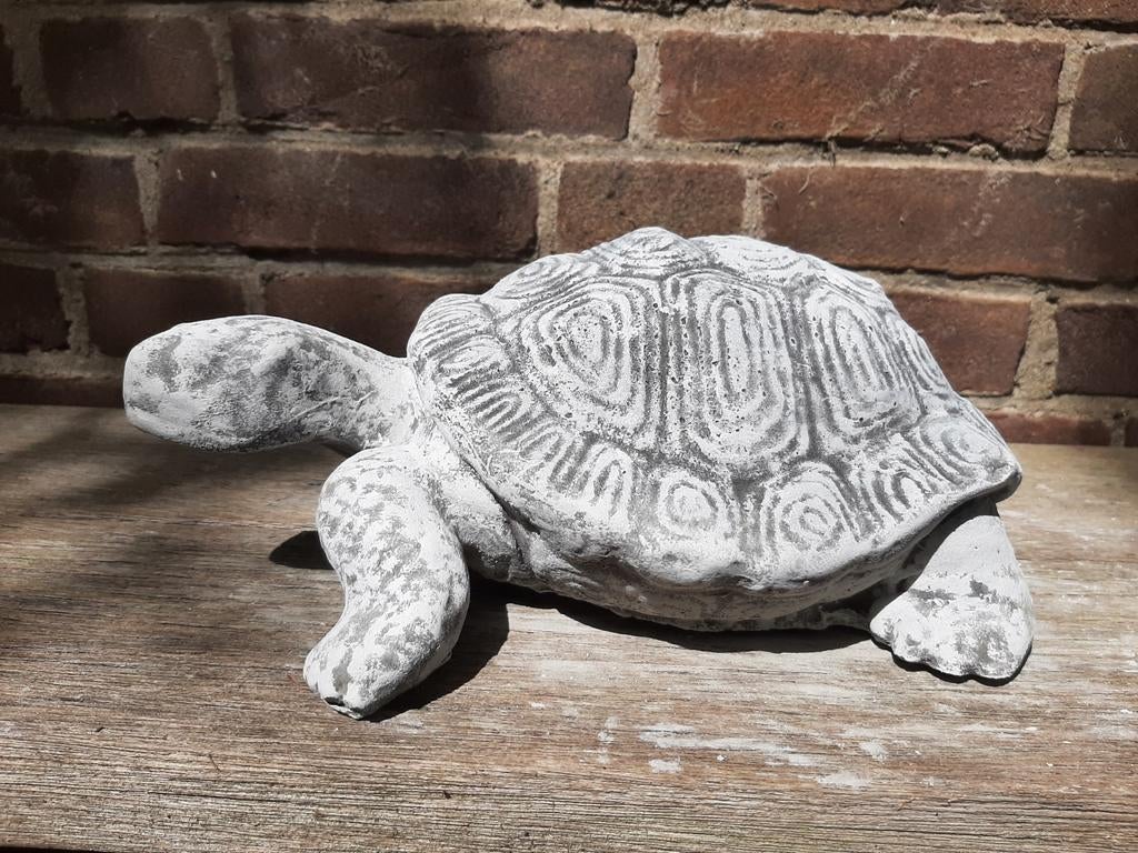 Schildpad betonnen beeld tuinbeeld beton, Tuin en Terras, Tuinbeelden, Ophalen of Verzenden