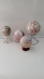 Bloemagaat bollen uitzoeken KORTING, Ophalen of Verzenden