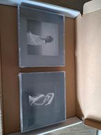 The Tortured Poets Department Collector's Edition, Cd's en Dvd's, Cd Singles, Nederlandstalig, Ophalen of Verzenden, Nieuw in verpakking