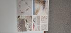 Canvas schilderij, Huis en Inrichting, Woonaccessoires | Overige, Ophalen